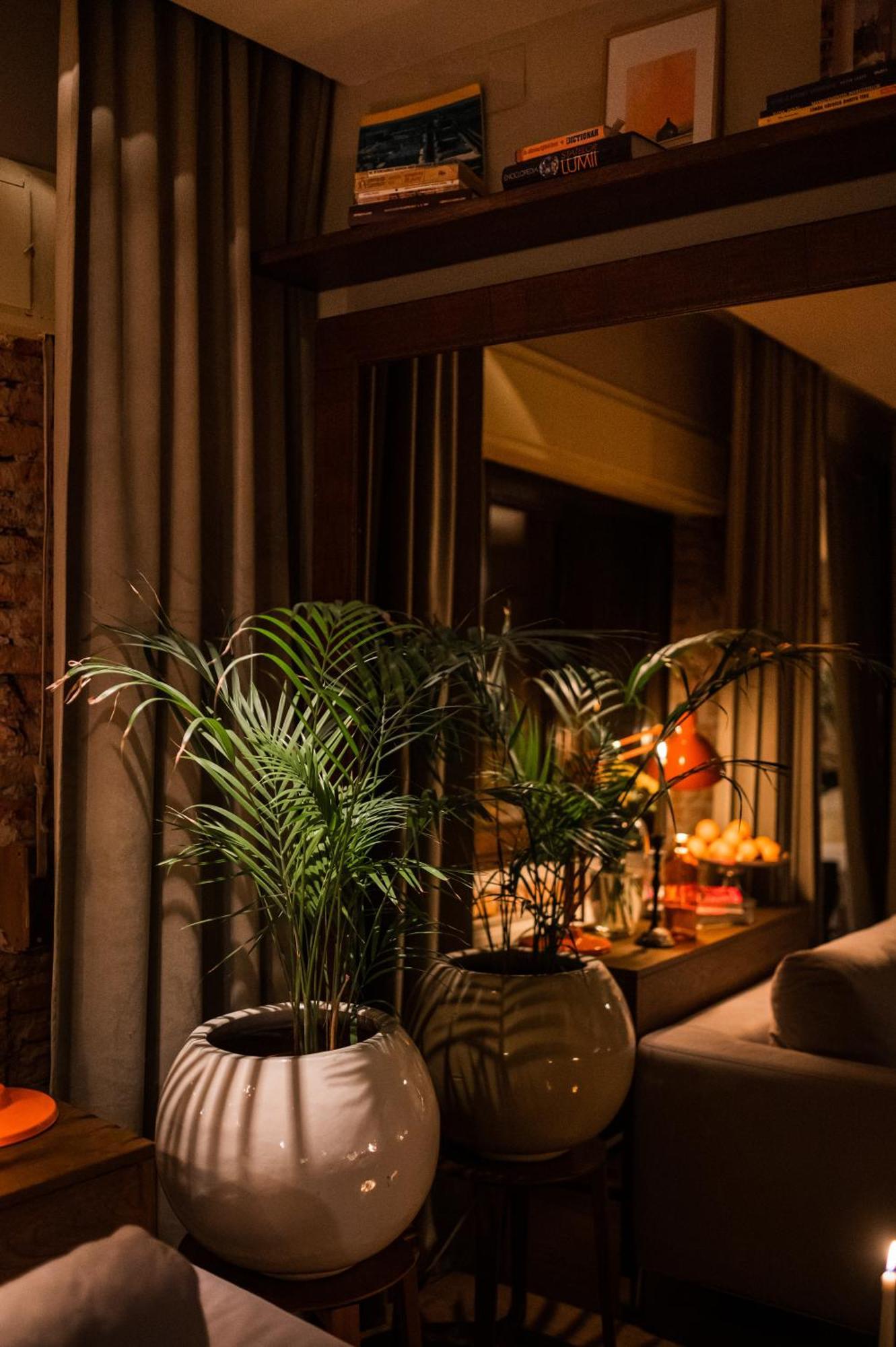Le Petit Chalet - Artegianale Брашов Екстер'єр фото